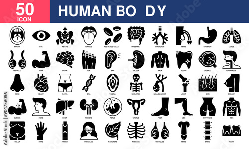 Human Body icon collection set. Simple Glyph Vector