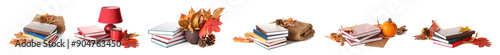 Set of many books and autum...