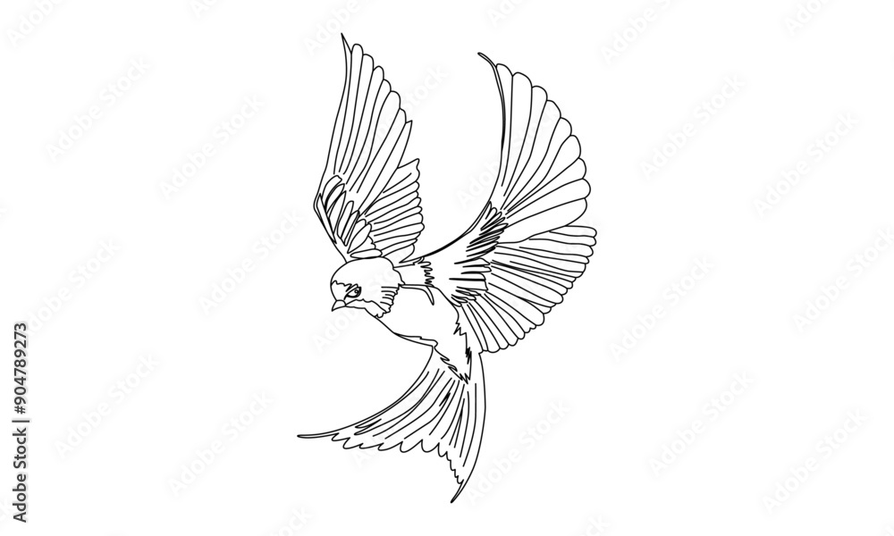 Fototapeta premium Bird