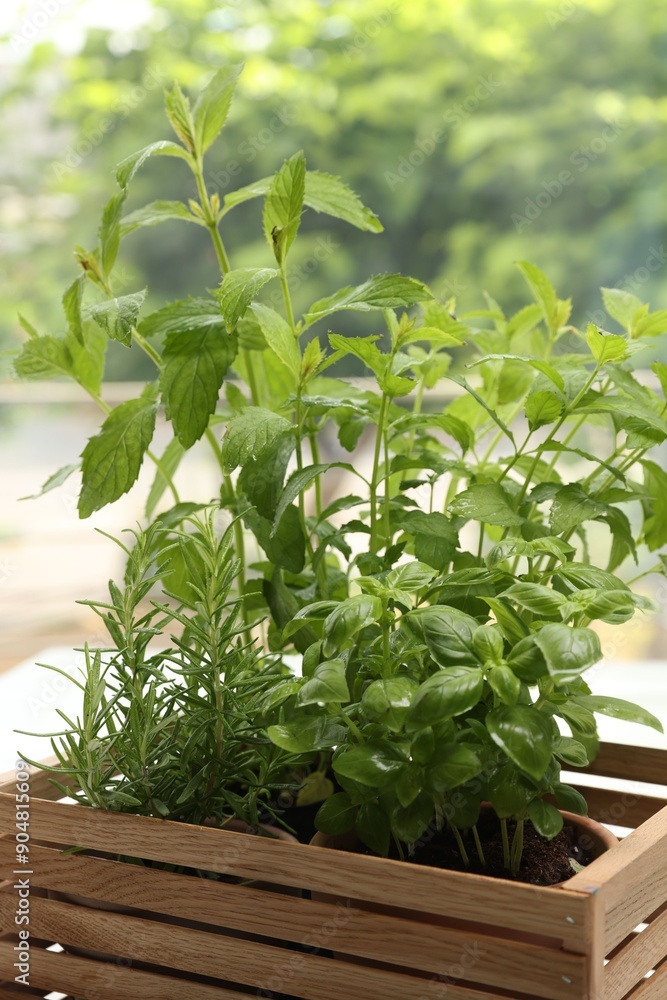 Different potted herbs growing in wooden crate indoors Different potted herbs growing in wooden crate indoors