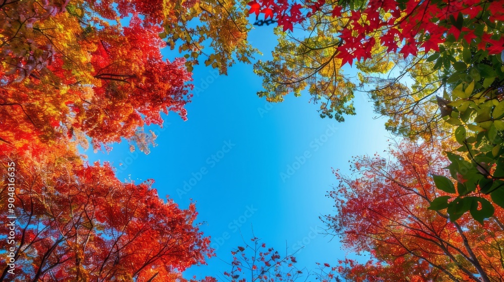 A beautiful blue sky with a few trees in the background A beautiful blue sky with a few trees in the background