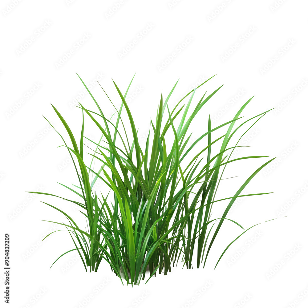 High-resolution image of fresh green grass with a transparent background High-resolution image of fresh green grass with a transparent background