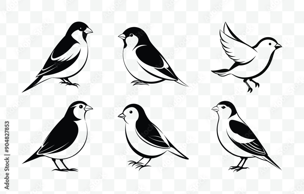 Obraz premium Print Finch Line Art Vector Set Elegant and Detailed Illustrations for Graphic Design and Creative Projects