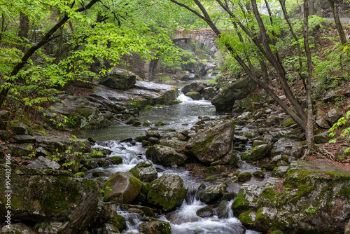stream in the forest