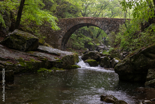 old stone bridge in the forest