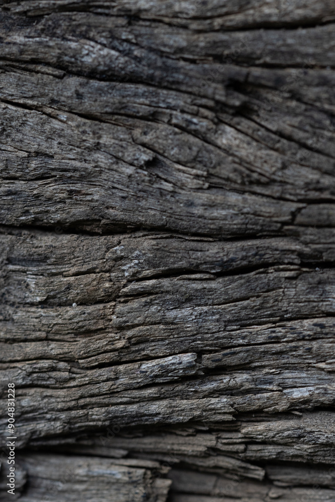 Close up texture of rustic weathered wooden railway sleeper used for garden bed Close up texture of rustic weathered wooden railway sleeper used for garden bed
