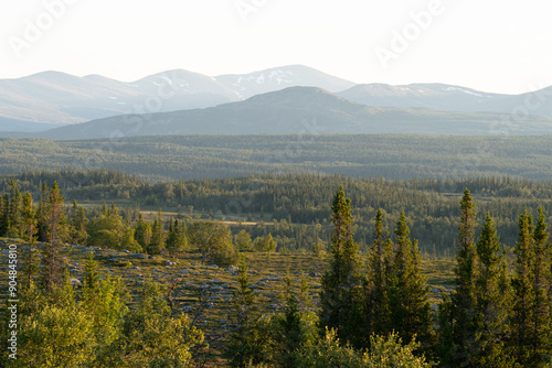 Forest and mountains in National Park Valadalen, Jamtland. photo