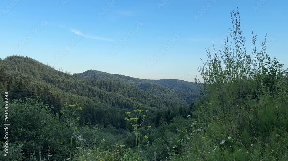 landscape with Carpathians mountains landscape with Carpathians mountains