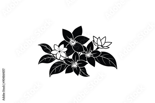 Jasmine flower vector silhouette illustration