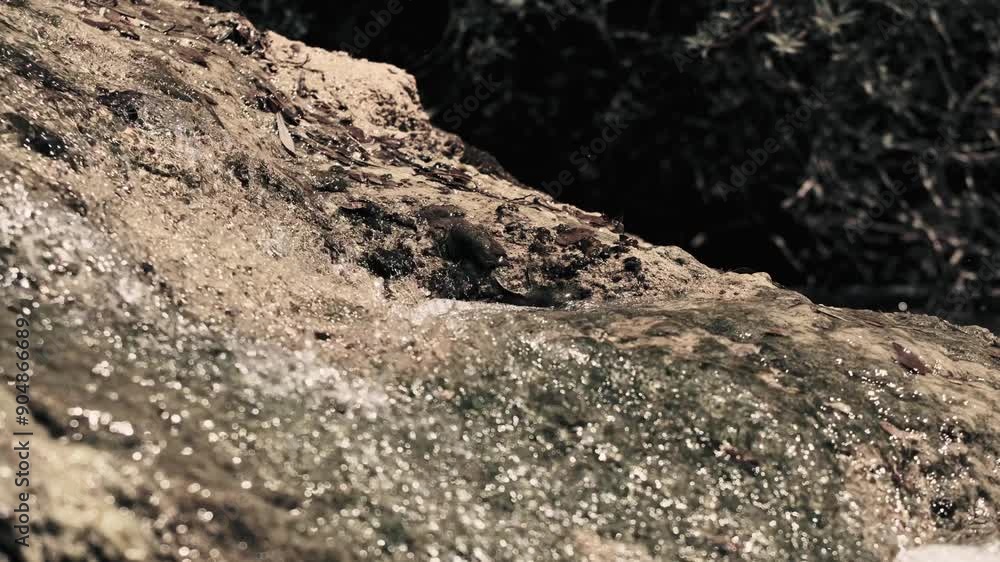 A rock with water dripping from it A rock with water dripping from it