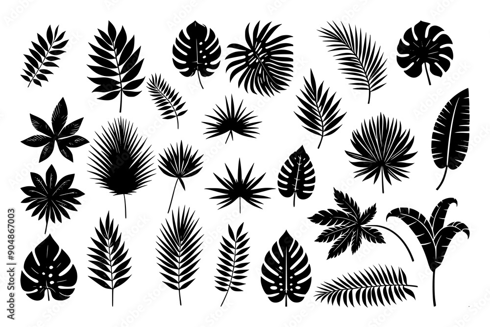Vector set of palm leaf silhouettes, capturing the essence of tropical foliage. Ideal for summer graphics, nature-themed designs, and exotic illustrations. Vector set of palm leaf silhouettes, capturing the essence of tropical foliage. Ideal for summer graphics, nature-themed designs, and exotic illustrations.