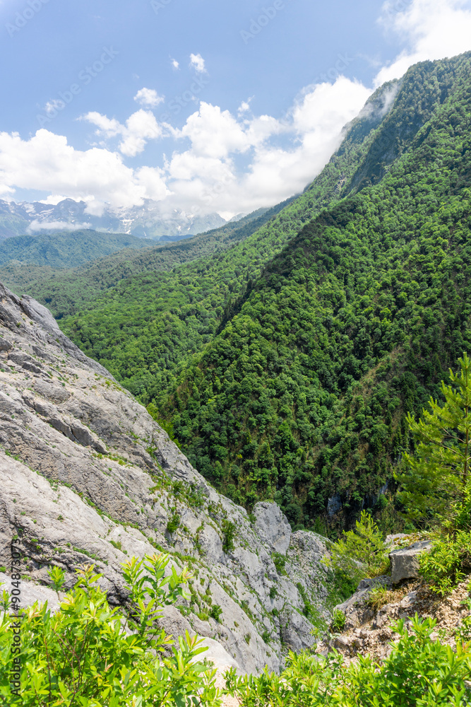 Obraz premium Gorge between a rock and a mountain covered with trees and bushes. Snowy mountain range, blue sky with clouds in the background