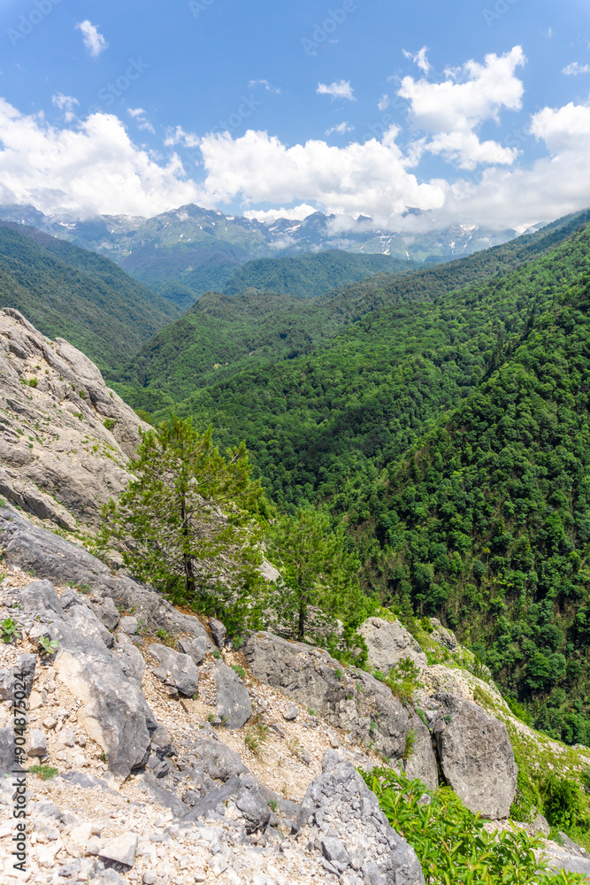 Obraz premium Gorge between a rock and a mountain covered with trees and bushes. Snowy mountain range, blue sky with clouds in the background