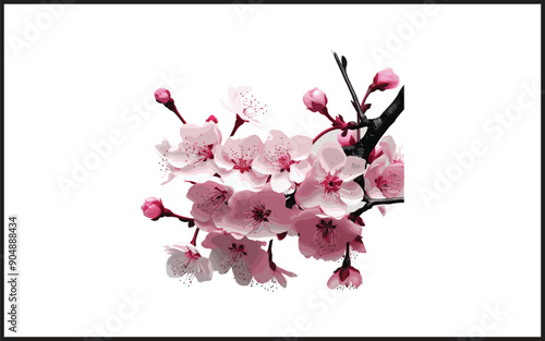 Vector watercolor cherry blossoms white background