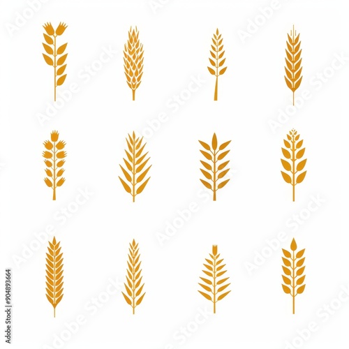 Wheat icon, rye ears sign, barley emblem, oats, cereals symbol, wheat ear, seeds, corns set