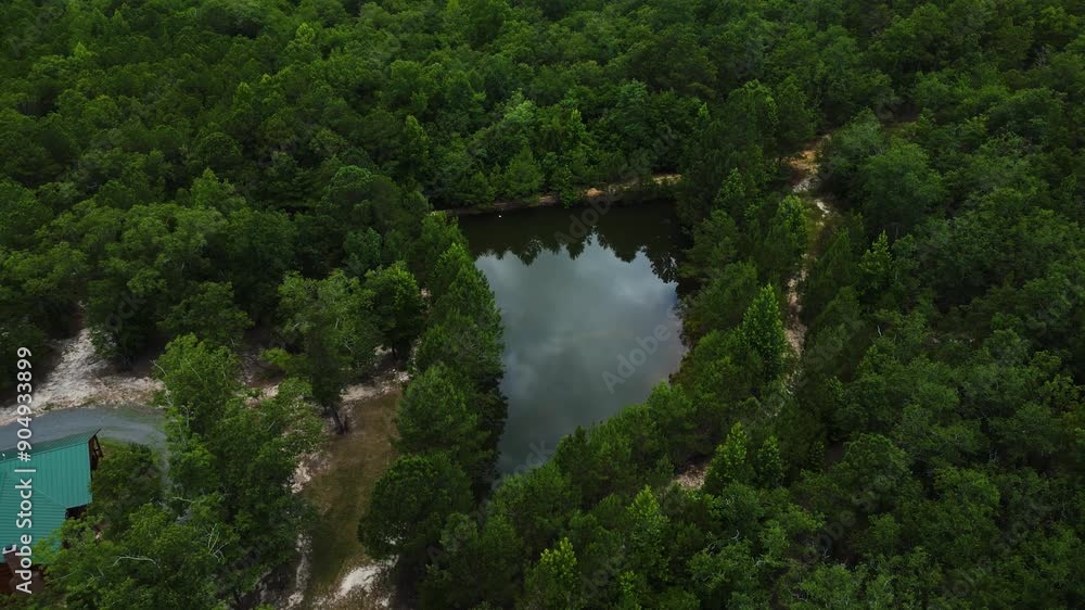 Aerial Shot of Pond with Trees Aerial Shot of Pond with Trees
