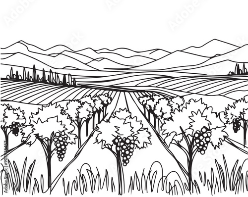 Vineyard field minimalist design for wine label, sketch, doodle illustration