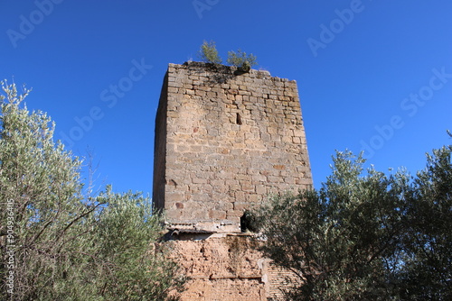 Ruins of the Castle of La Aragonesa, near Andujar, province of Jaén photo