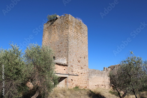 Ruins of the Castle of La Aragonesa, near Andujar, province of Jaén