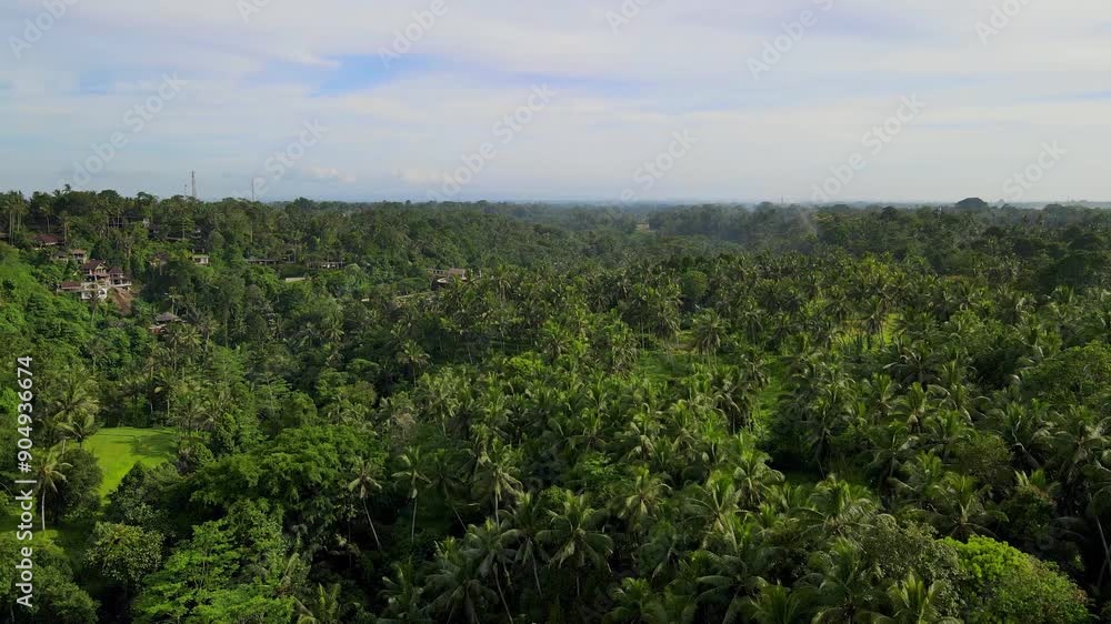Fly over the lush green canopy of Sayan, Ubud Jungle in Bali, Indonesia capturing the untouched beauty of this tropical paradise from above. Fly over the lush green canopy of Sayan, Ubud Jungle in Bali, Indonesia capturing the untouched beauty of this tropical paradise from above.