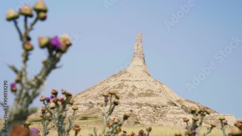 Chimney Rock National Historic Site in Nebraska with scotch thistles photo