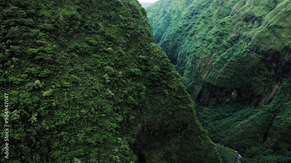 Teahupoo, Tahiti aerial drone view of the river in the valley of mountain Orohena Aorai Ronui. French Polynesia 2024 Paris Olympics surfing spot. Paradise in Pacific Ocean. Moana Disney inspiration Teahupoo, Tahiti aerial drone view of the river in the valley of mountain Orohena Aorai Ronui. French Polynesia 2024 Paris Olympics surfing spot. Paradise in Pacific Ocean. Moana Disney inspiration