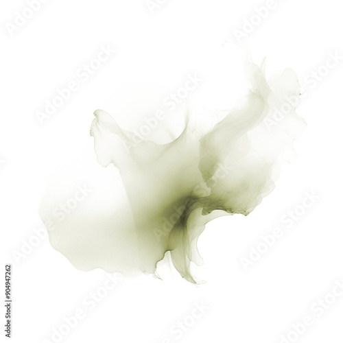 Sage ink splash on transparent background