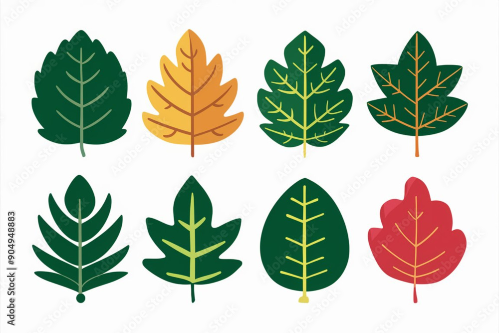 set of leaf set of leaf