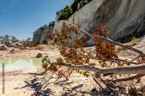 Die eindrucksvollen Klippen von Møns Klint, an der Ostküste Dänemarks bei schönem Wetter