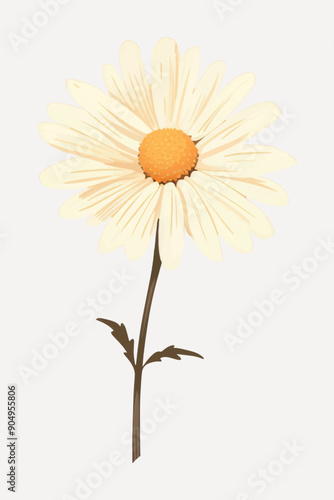 Elegant daisy flower illustration
