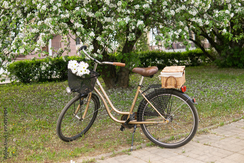 A beautiful retro bike with a wicker basket stands next to a blooming apple tree in the park.