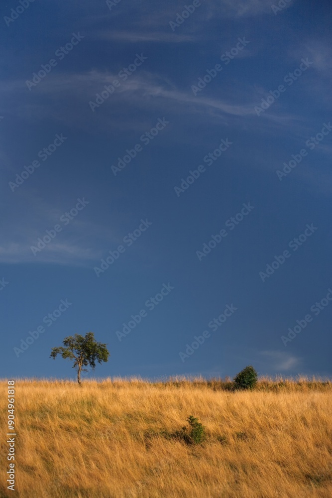 Obraz premium Pomorze