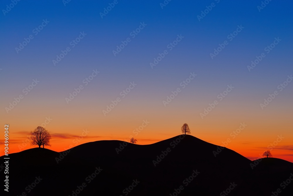 Trees on moraine hills, silhouettes at sunset, Menzingen, Canton Zug, Switzerland, Europe Trees on moraine hills, silhouettes at sunset, Menzingen, Canton Zug, Switzerland, Europe