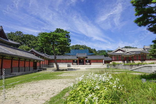 Jongno-gu, Seoul, South Korea - September 2, 2022: Summer view of white flowers on the garden with yard and Seonjeongmun Gate against blue sky at Changdeokgung Palace 