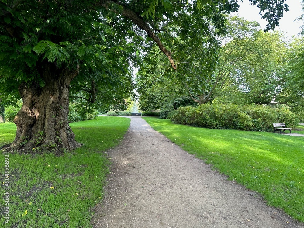 Obraz premium Beautiful view of park with pathway and trees outdoors
