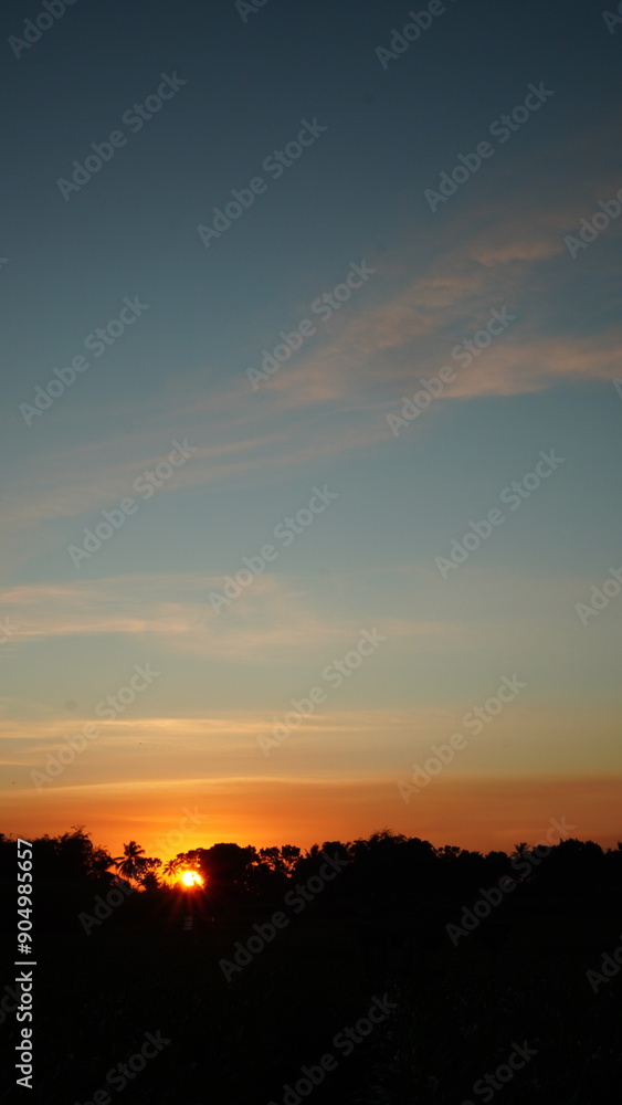 Obraz premium sunset in the trees