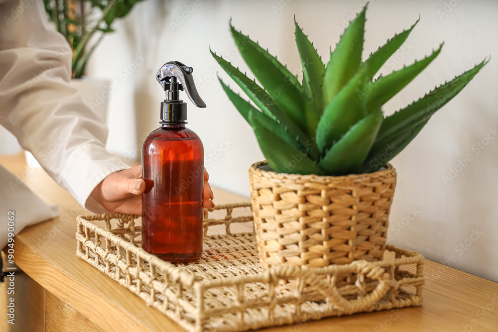 Woman with bottle of aroma spray and plant on tray at home, closeup Woman with bottle of aroma spray and plant on tray at home, closeup