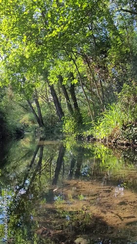 Rivière en été, Occitanie, berges eau arbre, nature, cigales, Occitanie, Sud de la France, Hérault