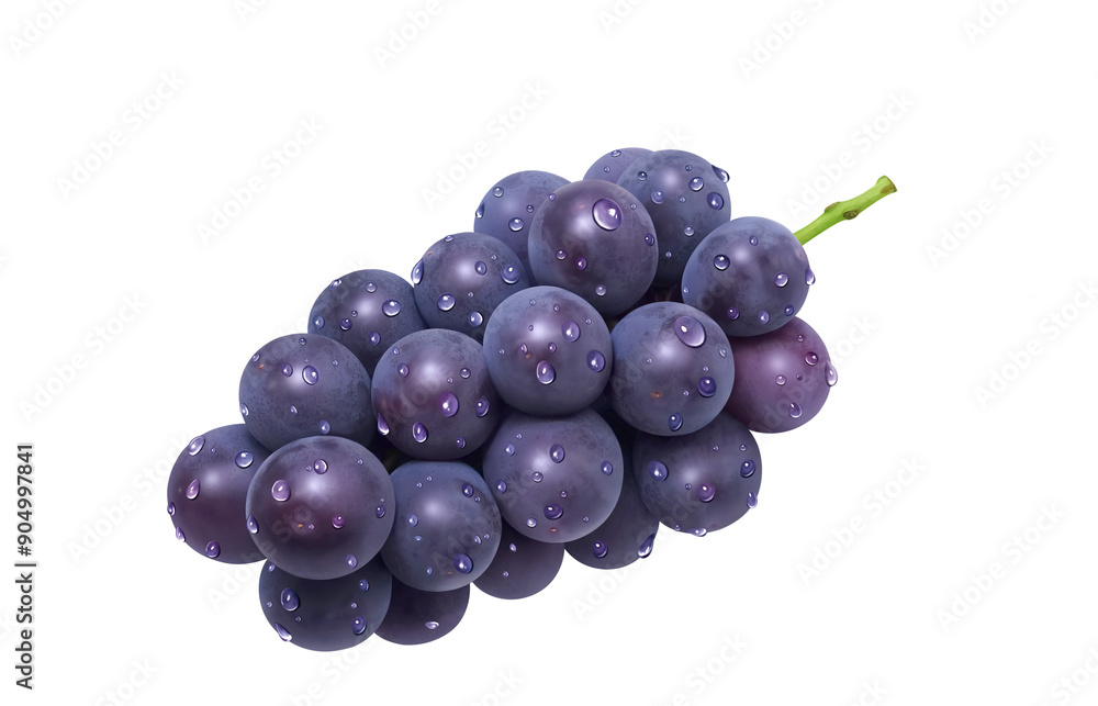 Fototapeta premium 巨峰 イラスト リアル ぶどう