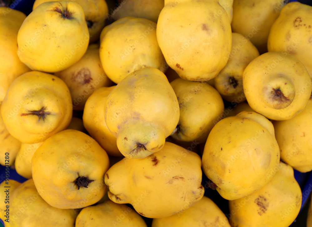 Bunch of Quince Fruits ready  for Sale at Market in Heybeliada , Istanbul, Turkey