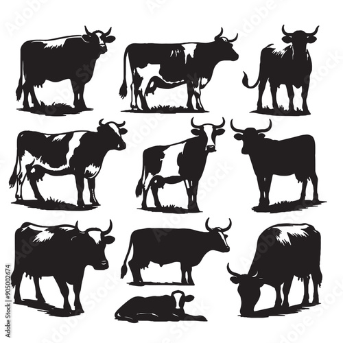 set of cows silhouettes on white	