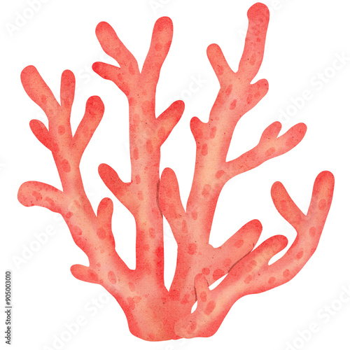 Watercolor sea plant 