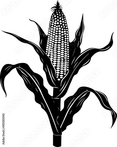 Corn cob clipart design illustration