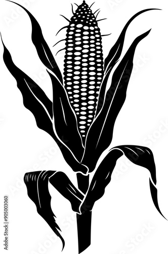 Corn cob clipart design illustration