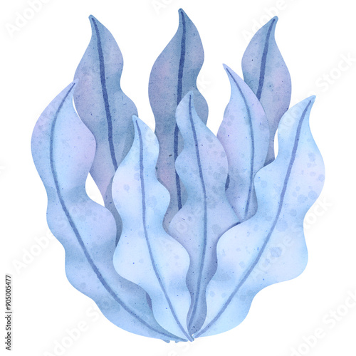 Watercolor sea plant 