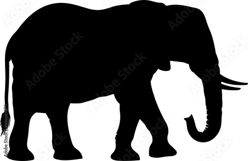 Elephant silhouete clipart design illustration photo