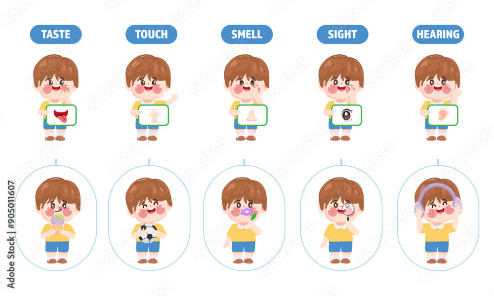 Cute little boy holding card about 5 sensory organ Illustration Premium vector Cute little boy holding card about 5 sensory organ Illustration Premium vector