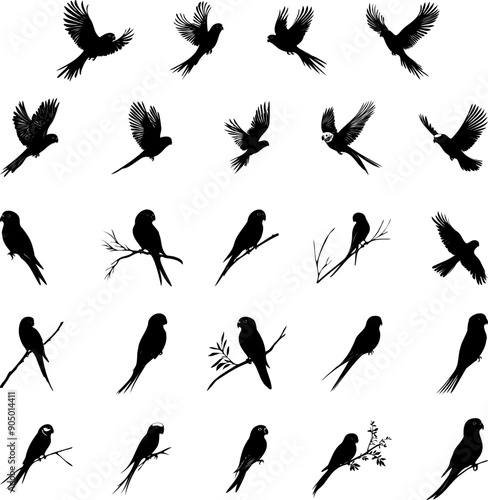 Budgerigar parakeet bird silhouette set illustration