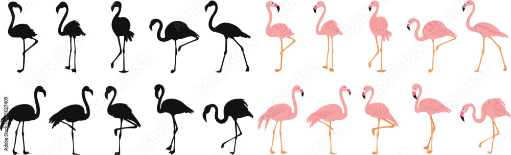 Fototapeta premium set of pink flamingos, on a white background vector