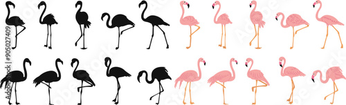 set of pink flamingos, on a white background vector